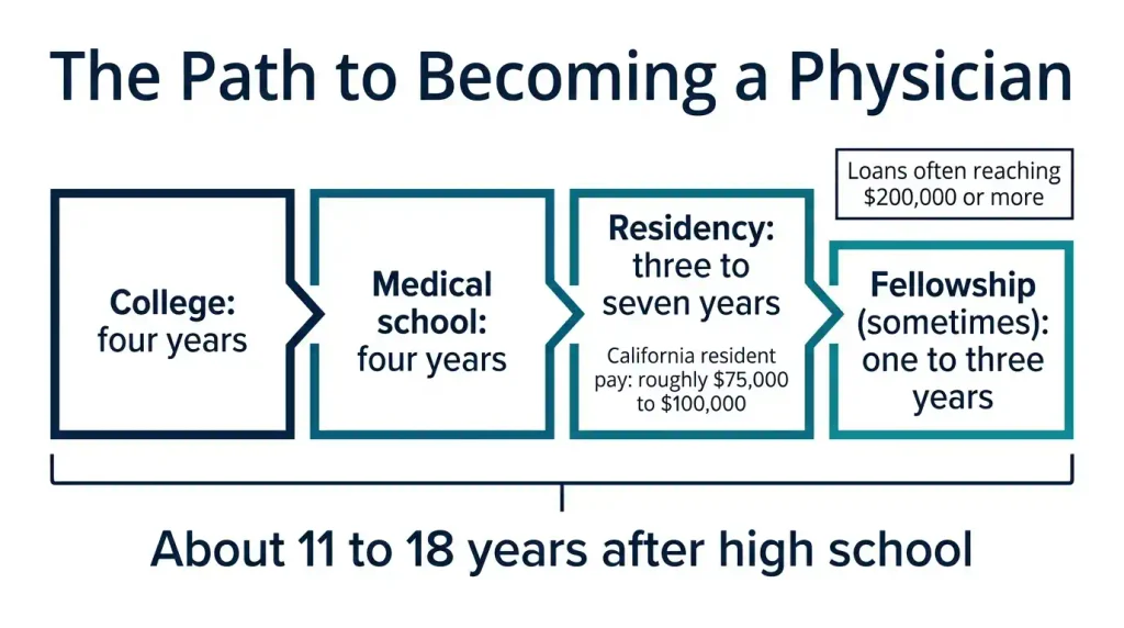 Timeline of physician training from college and medical school through residency and fellowship, totaling about 11 to 18 years after high school.